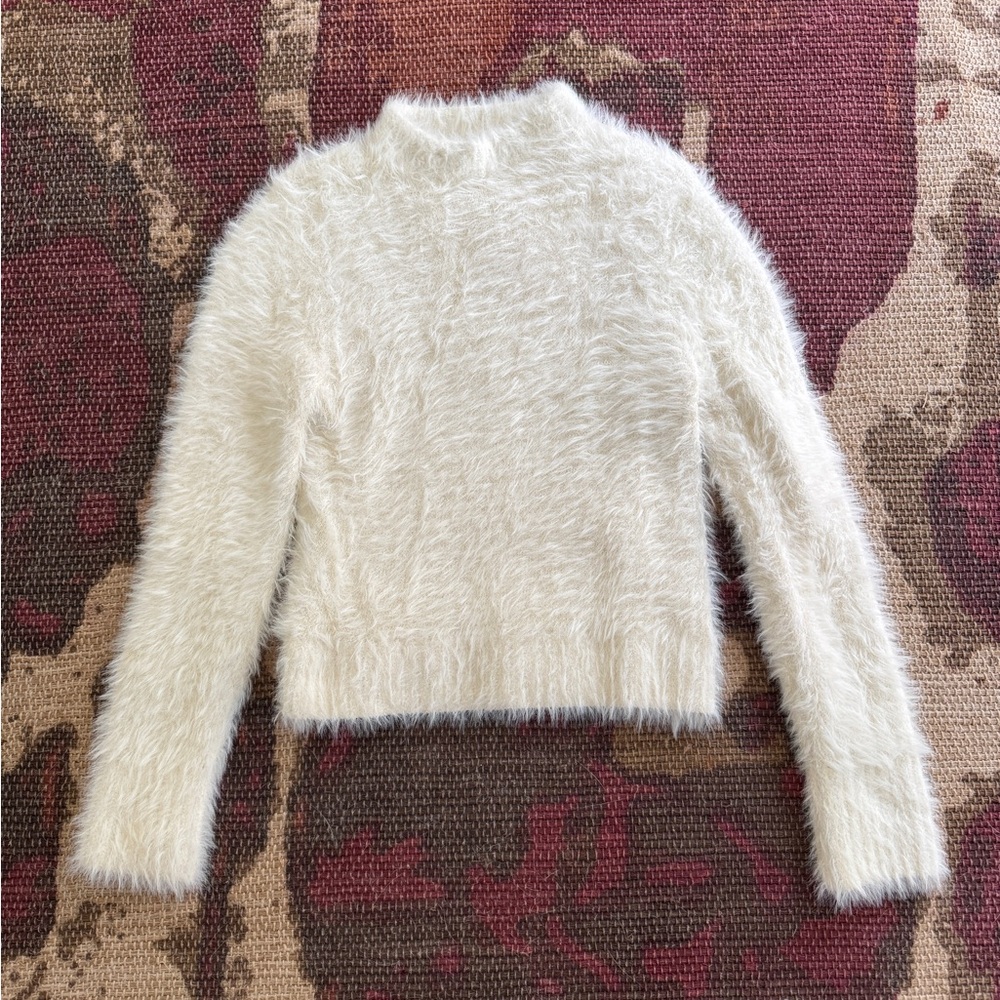 Future Collective Fuzzy Sweater